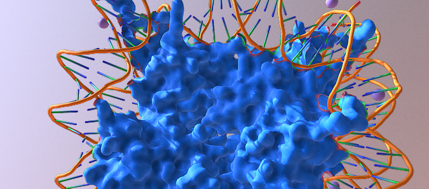 The Role of Histones in DNA and Gene Regulation