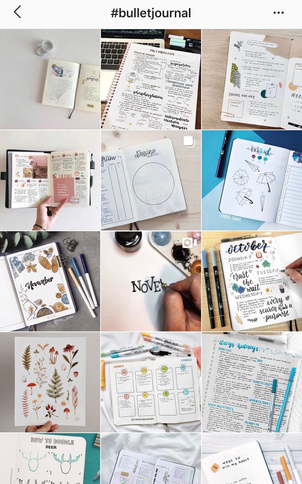 Do Real People Actually Bullet Journal?, by Liana Heath