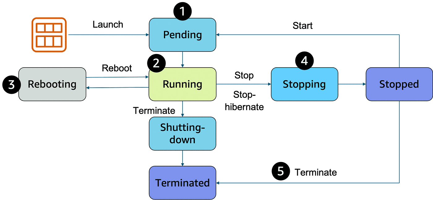 Unlocking the Power of EC2 Auto Scaling using Lifecycle