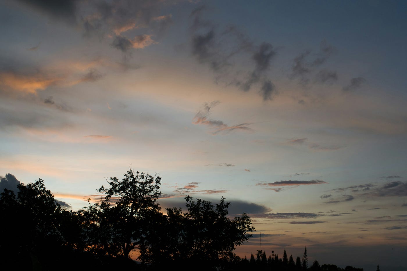 Photo by Nicky Ilhamsyah on Unsplash