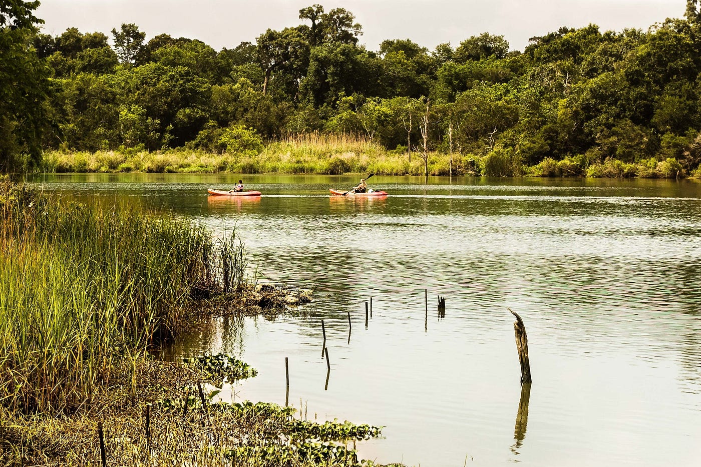 Explore Nature at Armand Bayou Nature Center