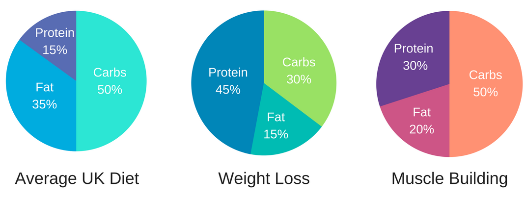 Macros for Muscle Building: Ultimate Guide to Maximize Gains