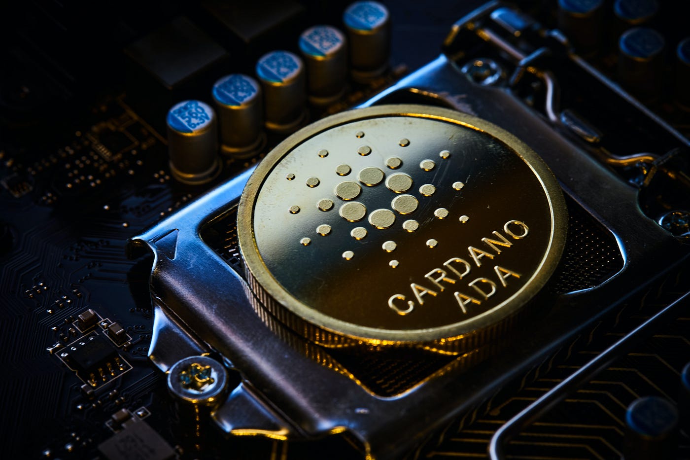 Get Your First Cardano Wallet. A Quick Guide to Getting Started with… | by  CNS - Cardano Connect | Medium