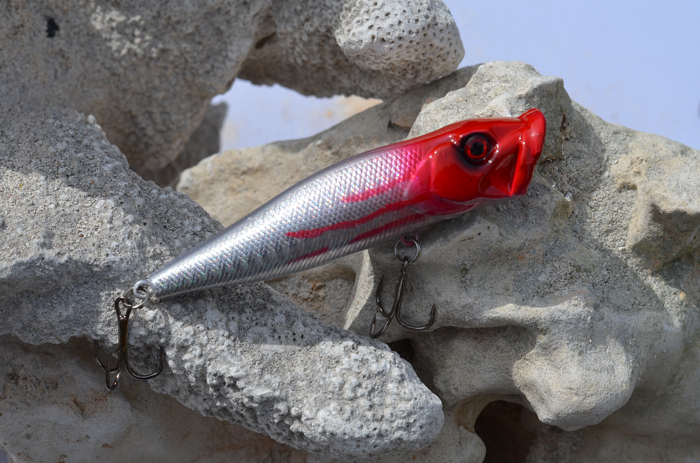 Surf Fishing With Poppers
