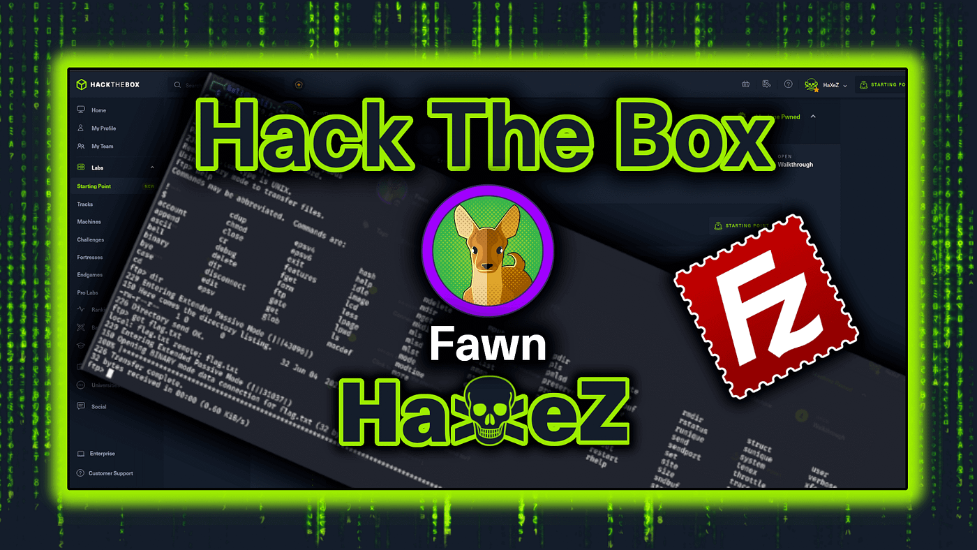 Hack The Box
