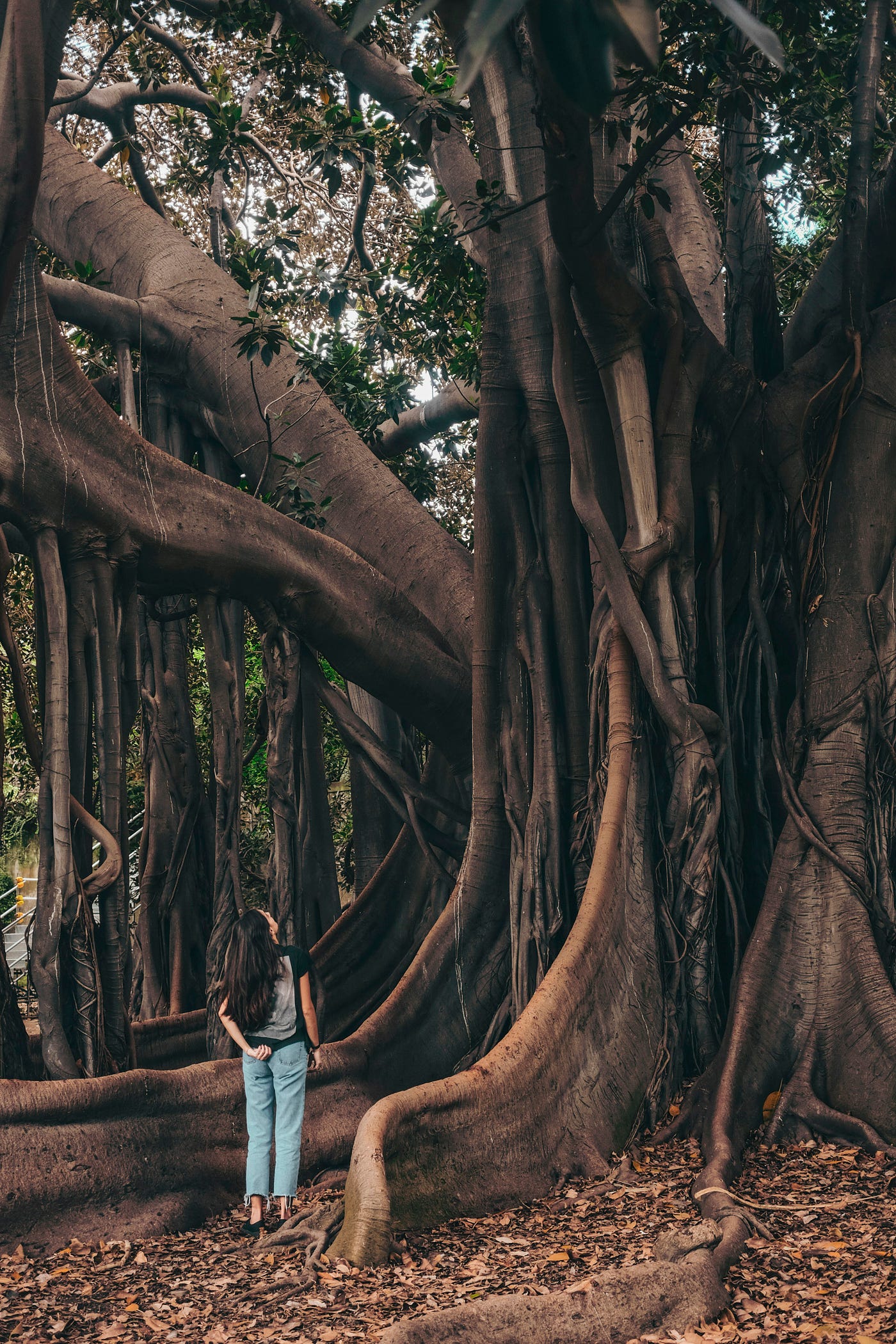 Photo by Cristina Gottardi on Unsplash