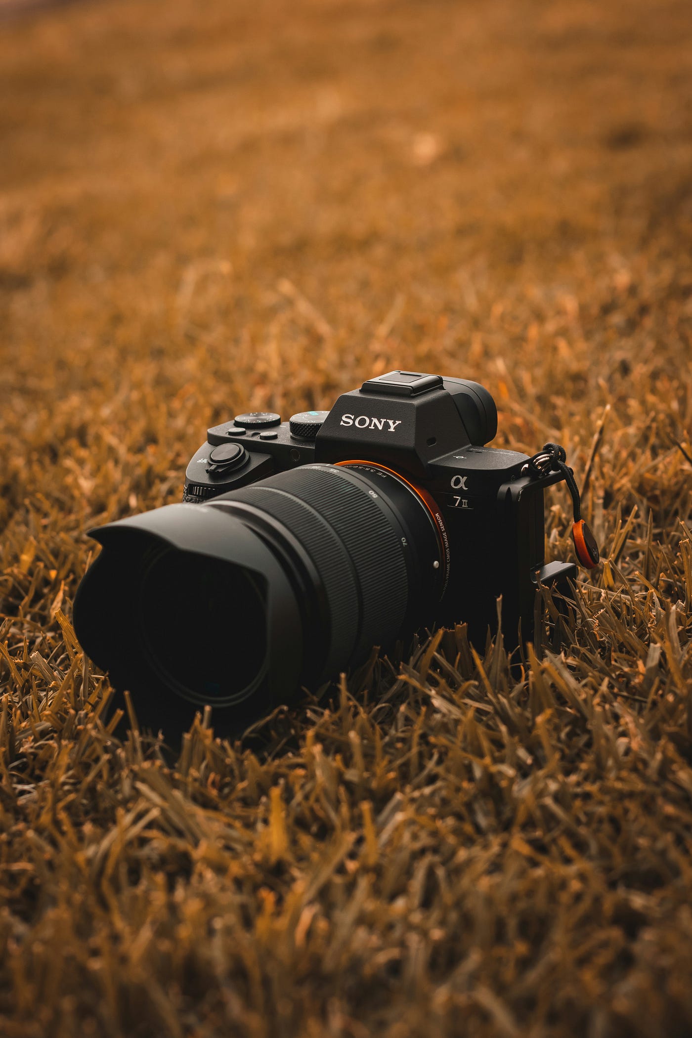 Photo by cody gallo on Unsplash