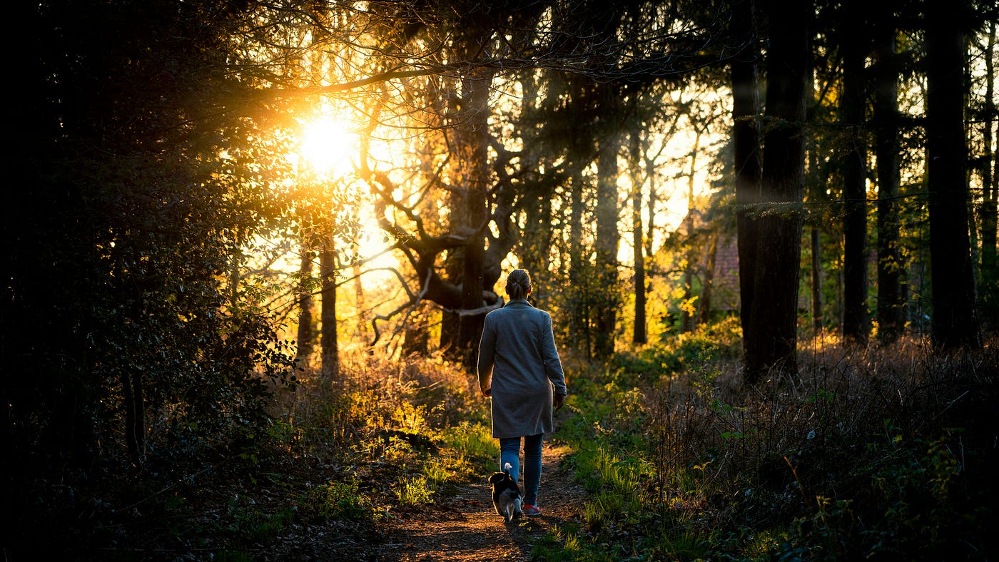 Photo by Jeroen Hoogeveen on Unsplash