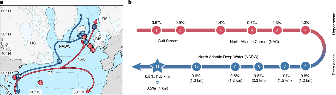 Map showing the location of core sites used to reconstruct surface-ocean (red filled circles) and deep-ocean (blue filled circles) from the glacial North Atlantic (Source: Relatively warm deep-water formation persisted in the Last Glacial Maximum)