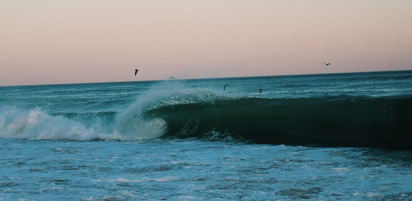 photo on unsplash by max berger