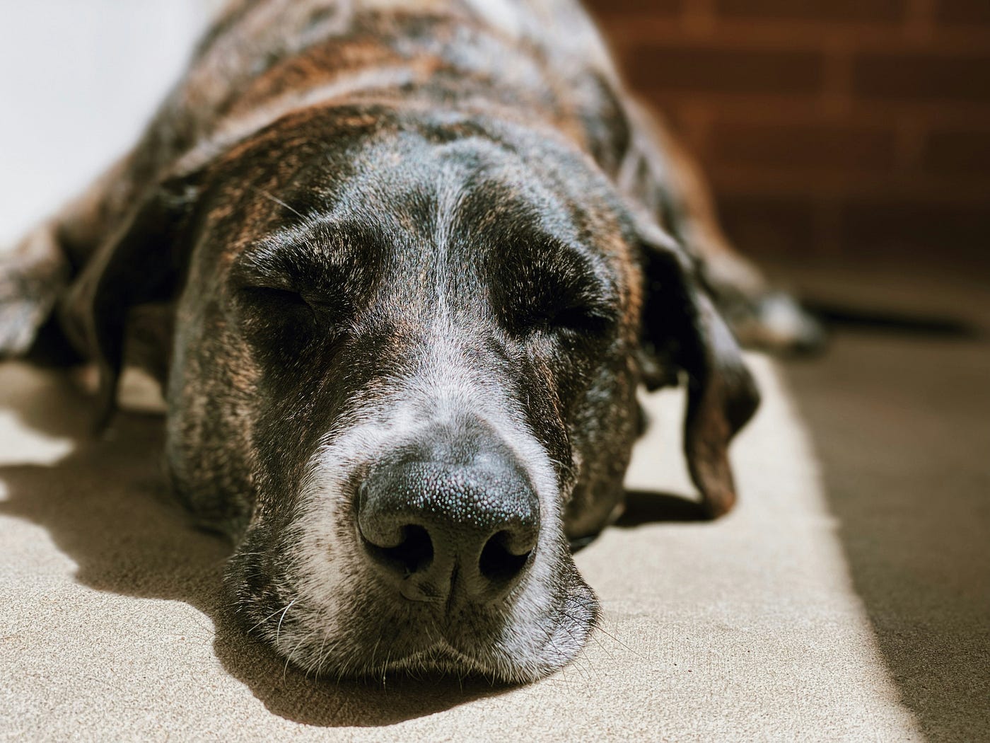 Photo by Madalyn Cox on Unsplash