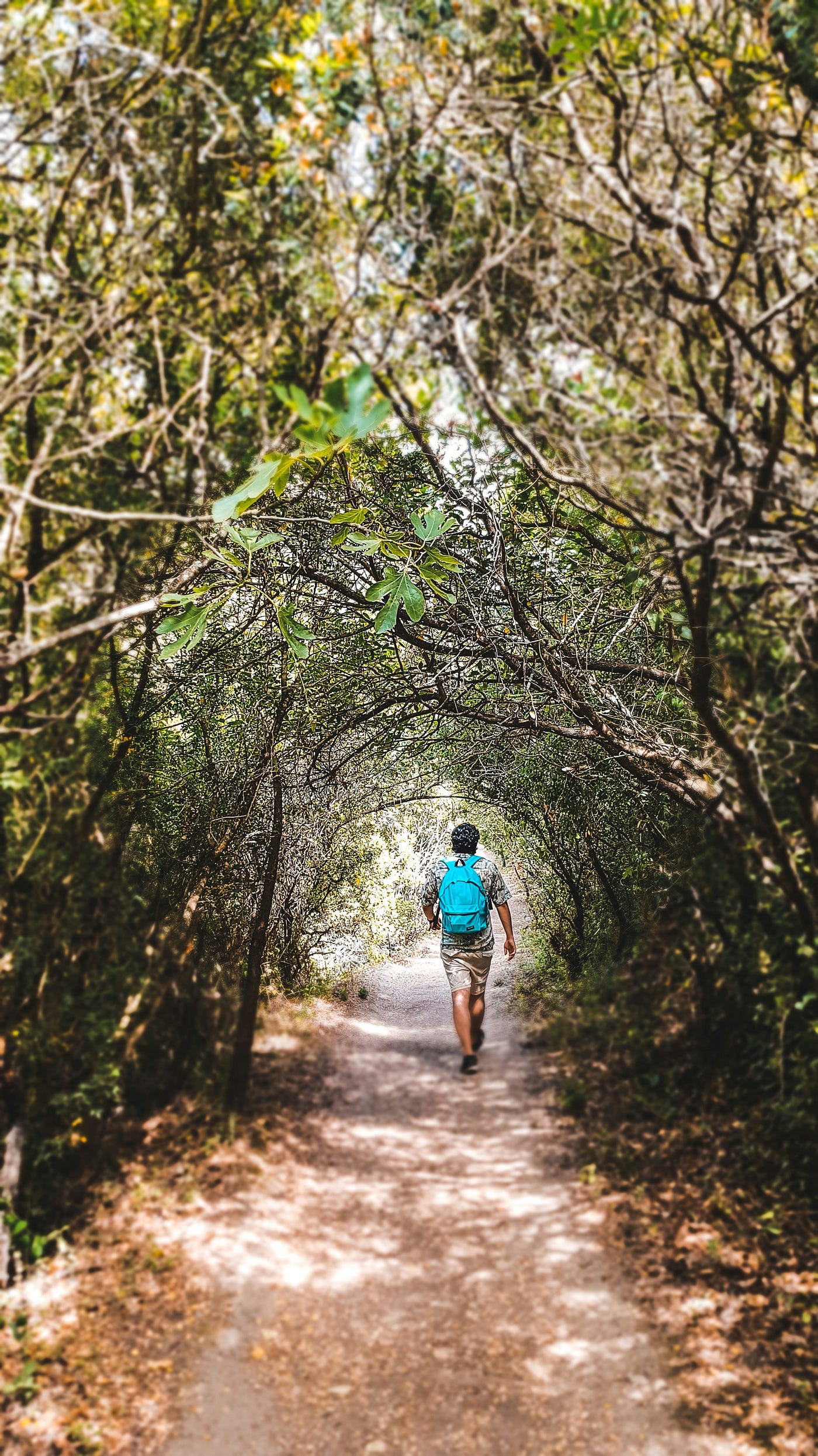 Photo by inma santiago on Unsplash