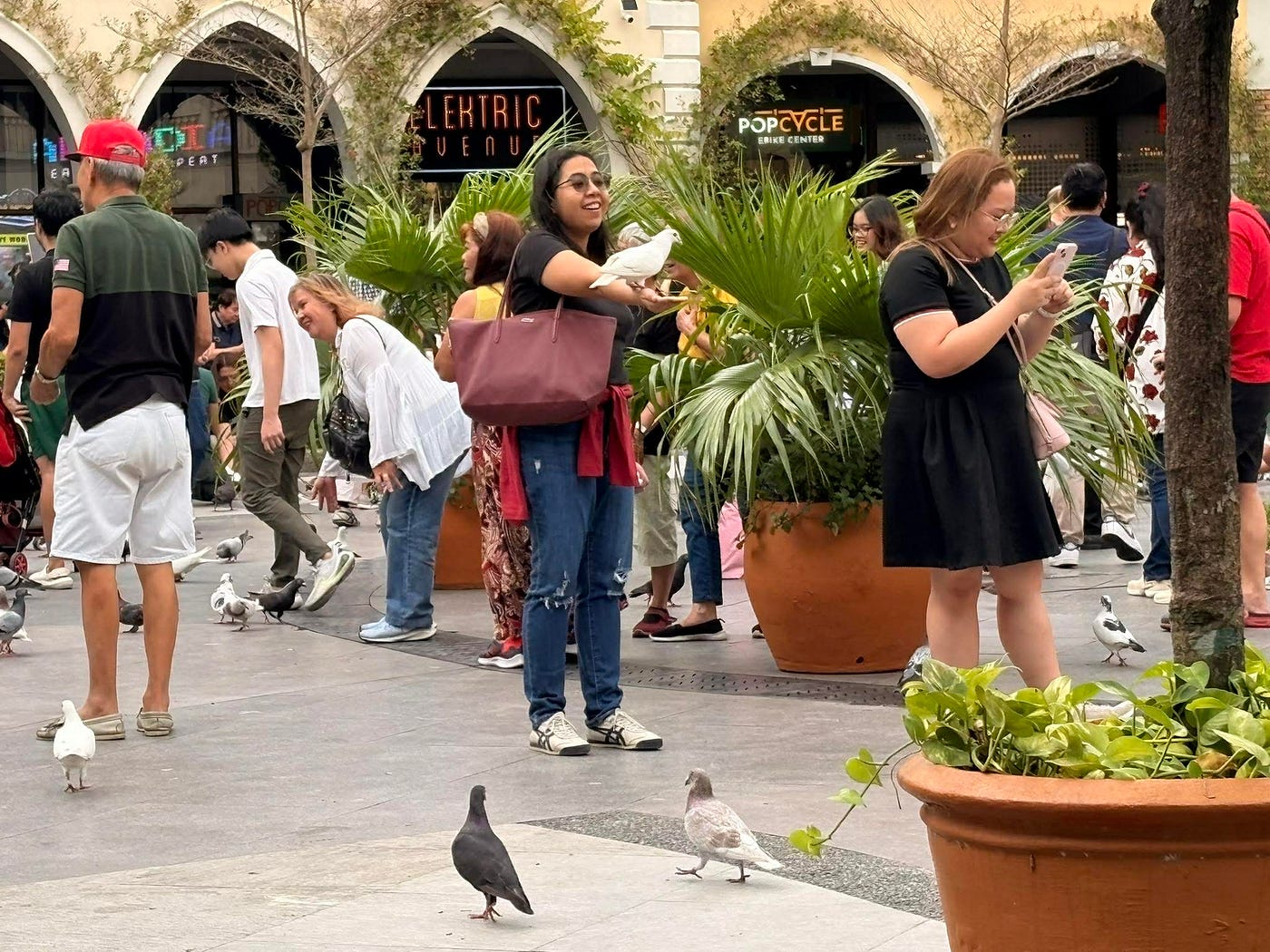 Me with Whitey the Dove este Pigeon