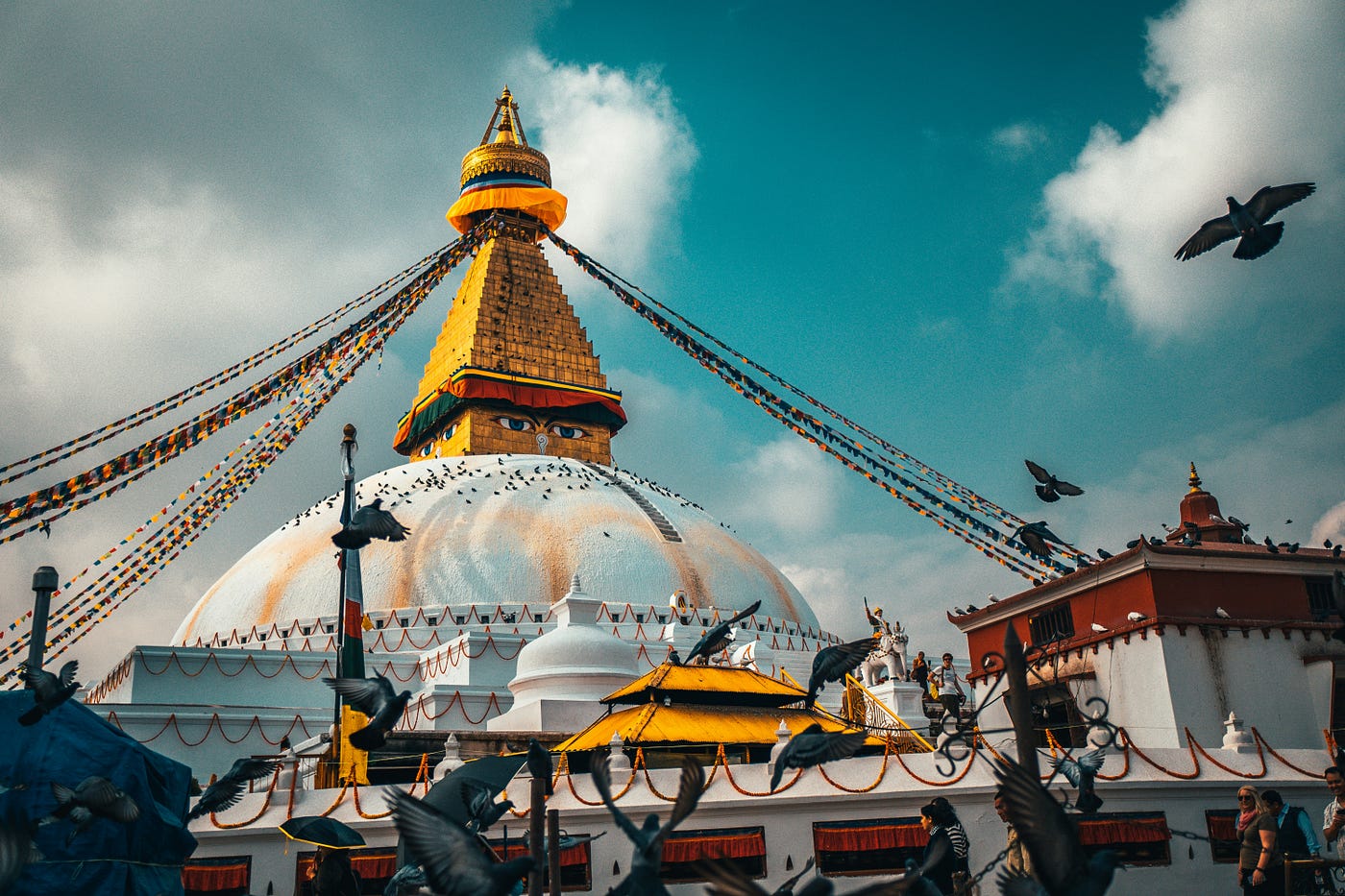Photo by Raimond Klavins on Unsplash