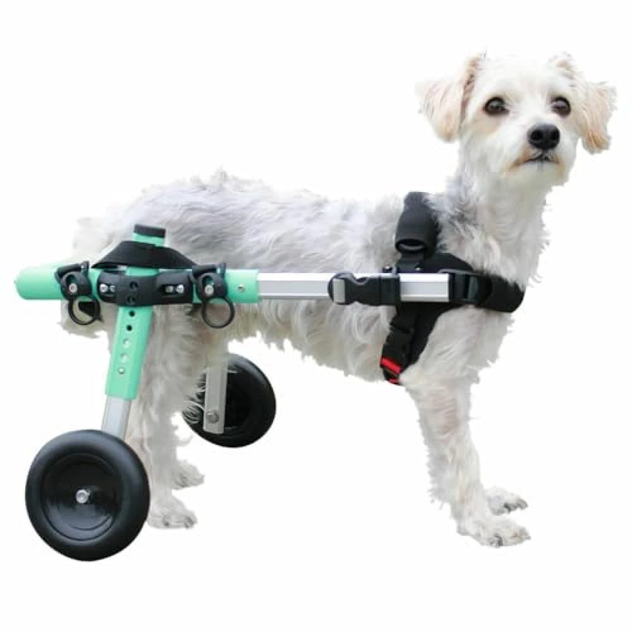 HobeyHove Adjustable Dog Cart/Wheelchair,Fordable Dog Wheelchair for Back  Legs,Assist Small Pets with Paralyzed Hind Limbs to Recover Their Mobility  2