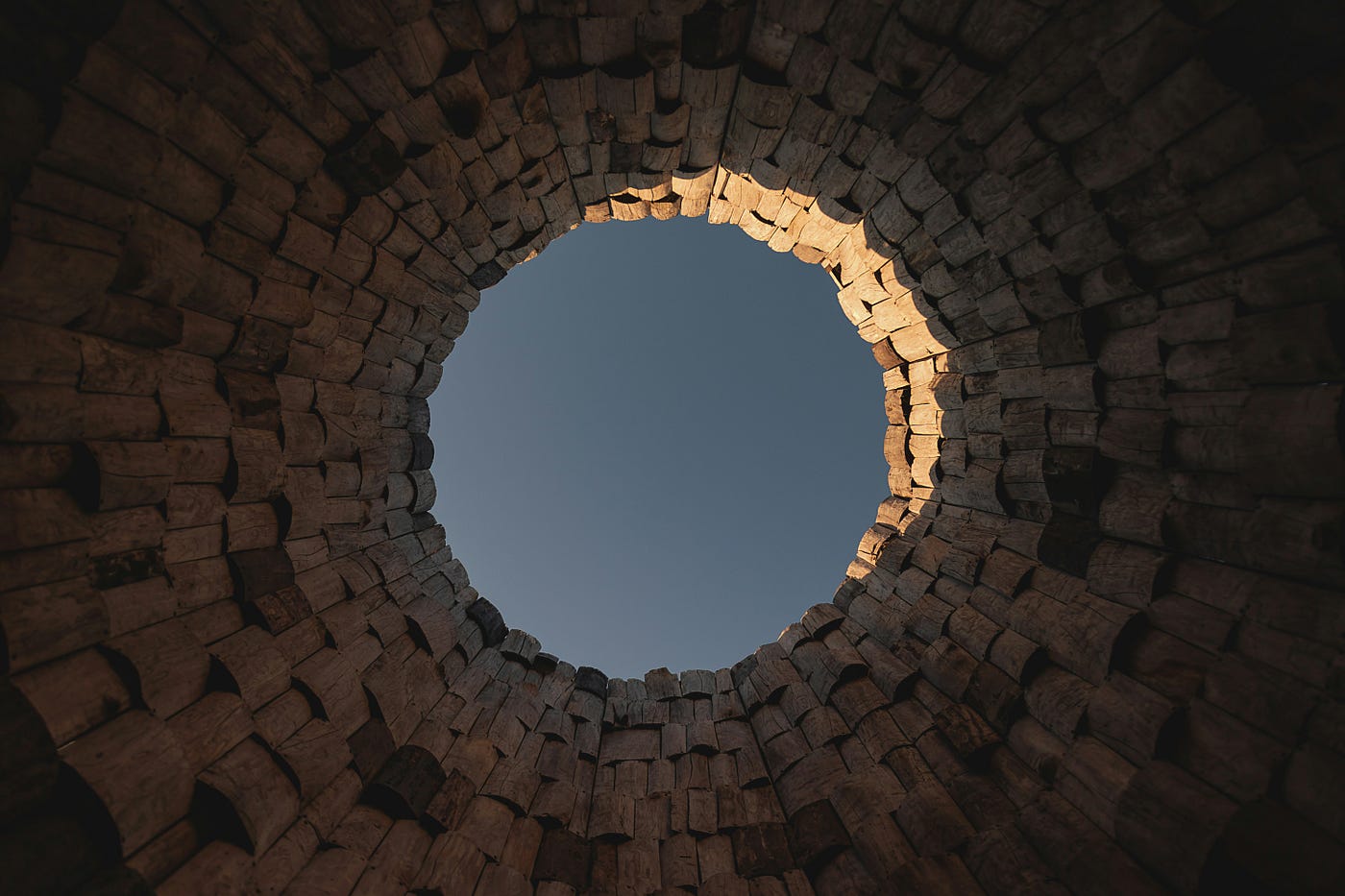 Photo by Max Kolganov on Unsplash