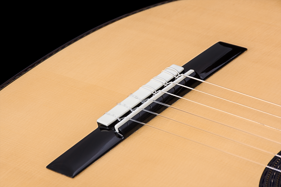 Nylon String Guitar Techniques 