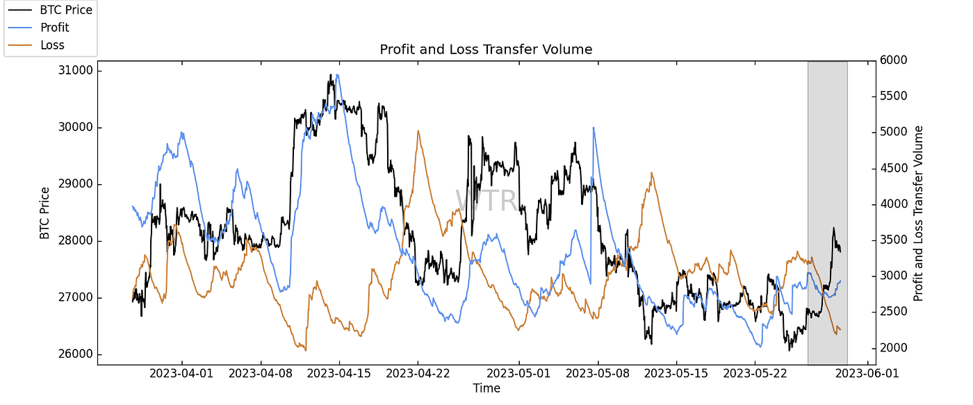 满目青山，载月明归｜WTR 5.29
