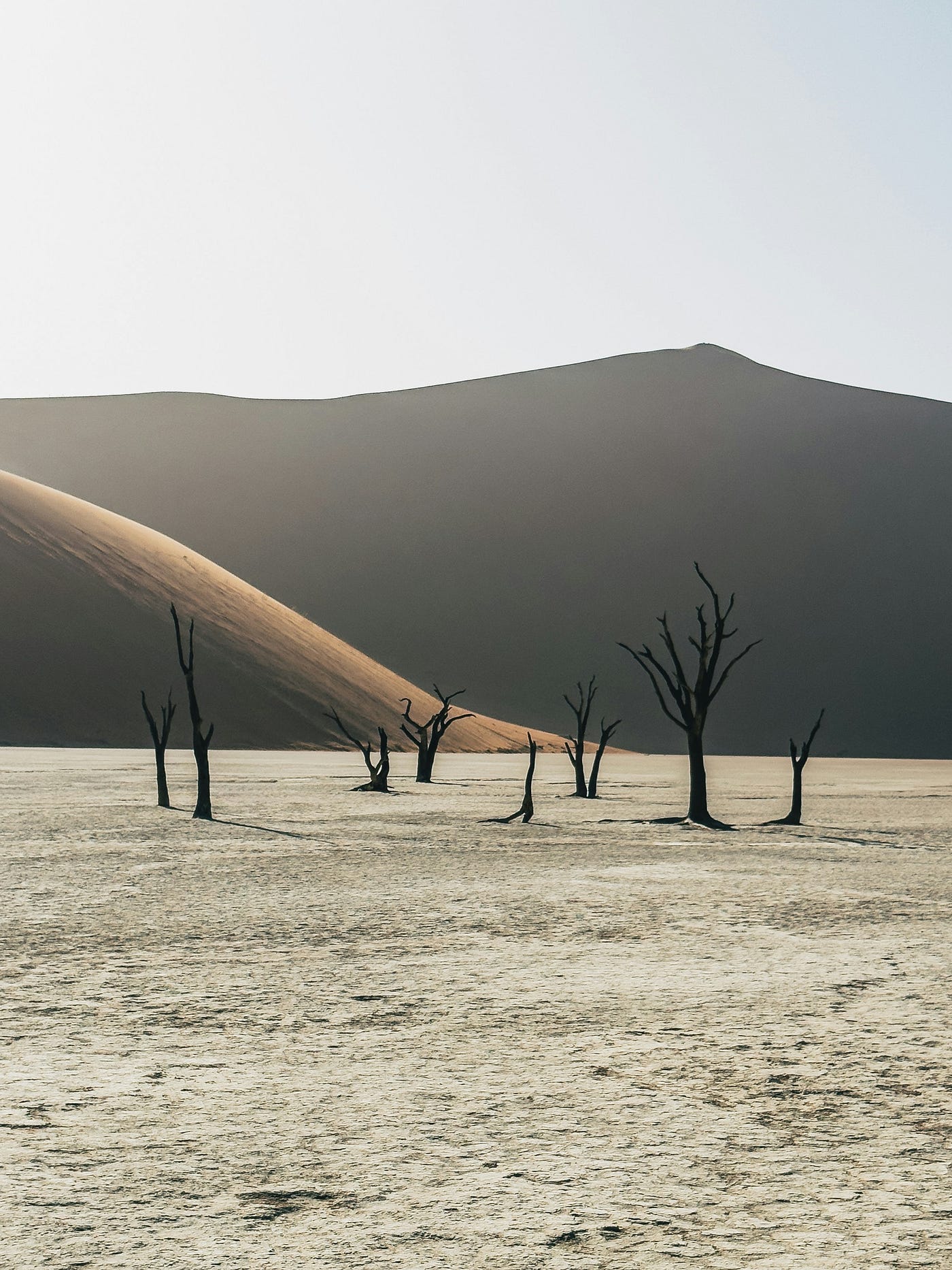 Photo by NIR HIMI on Unsplash
