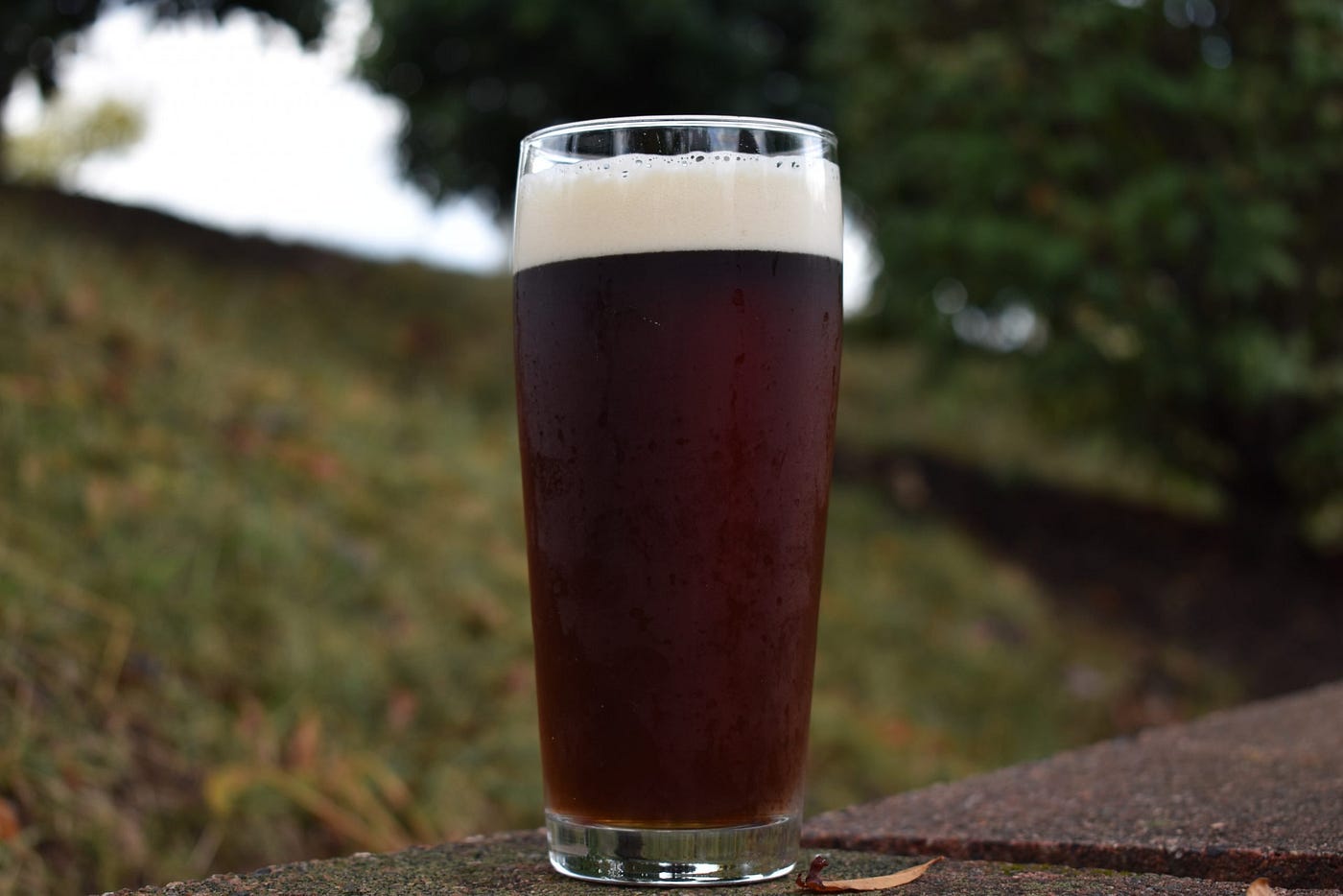 The Irish Red and How to Brew It. Overview | by The Beer Junkies | Medium