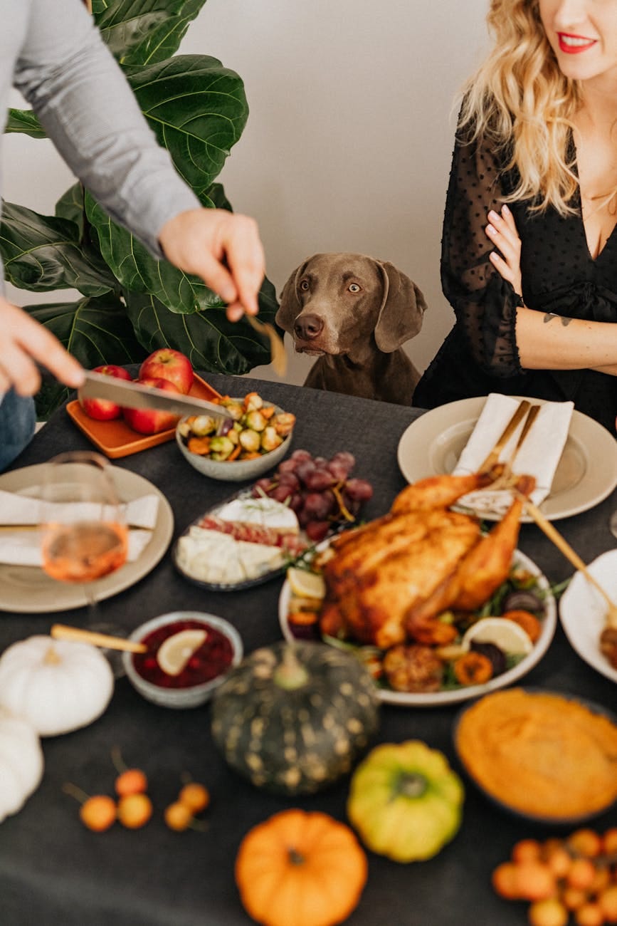 Mickey Markoff 2023 Air and Sea Exec — Photo of family sitting around thanksgiving table with turkey, apples, cheese, wine on table, with man, woman, and dog around table.