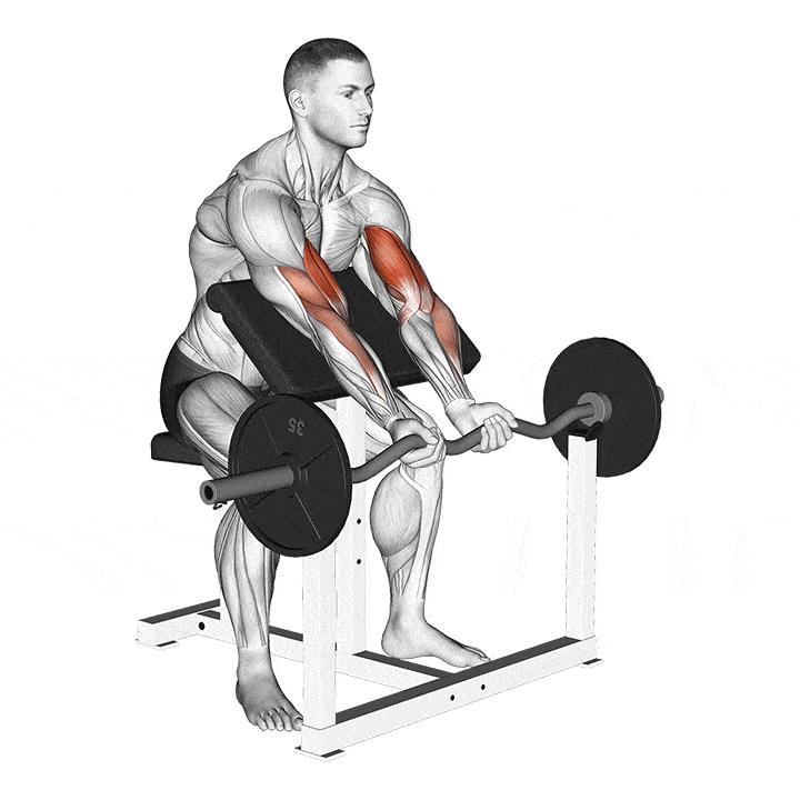 Scott reverse curls hotsell