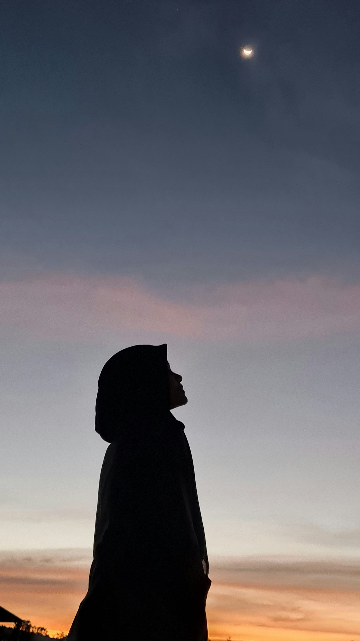 Photo by Ropiudin Yahya on Unsplash
