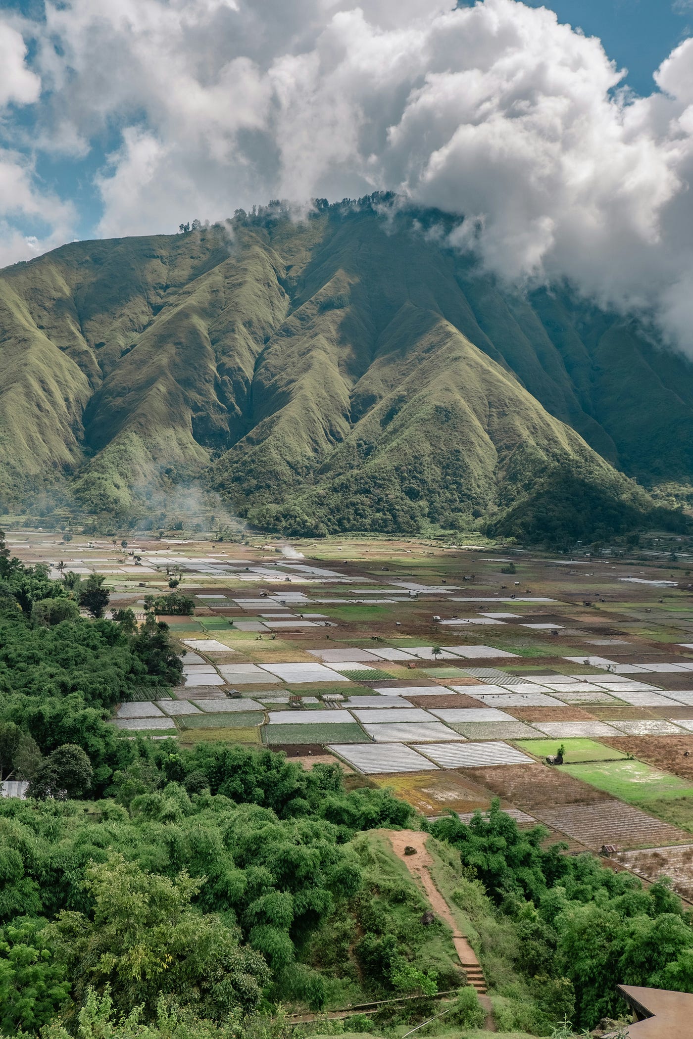 Photo by Johnny Africa on Unsplash