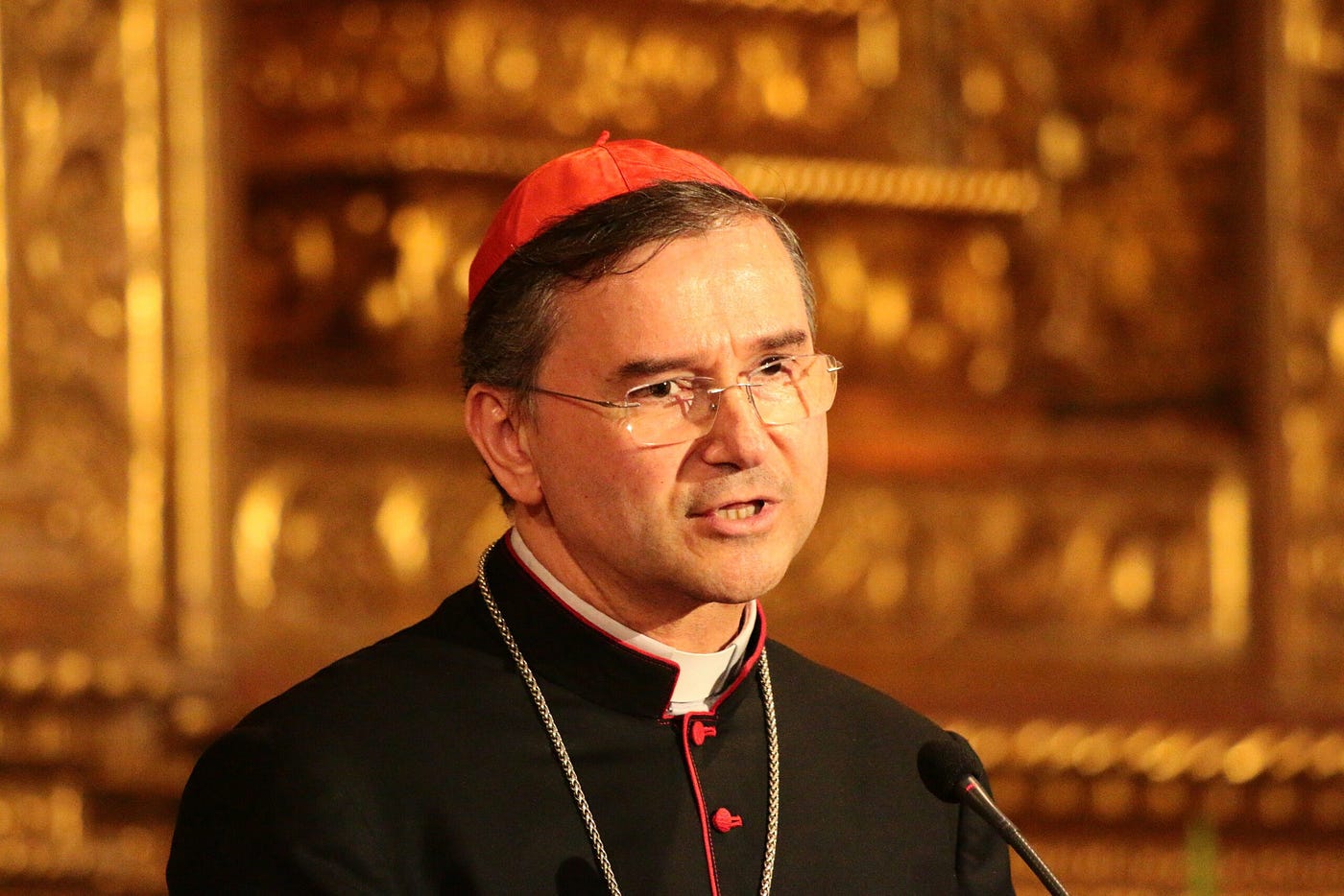 Jovens mobilizados pela Igreja na JMJ: Um dos maiores sucessos, diz Cardeal Américo Aguiar