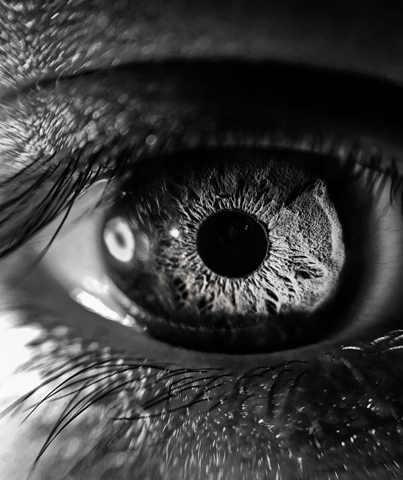 Your eyes make waste. Without it, you could go blind, Science
