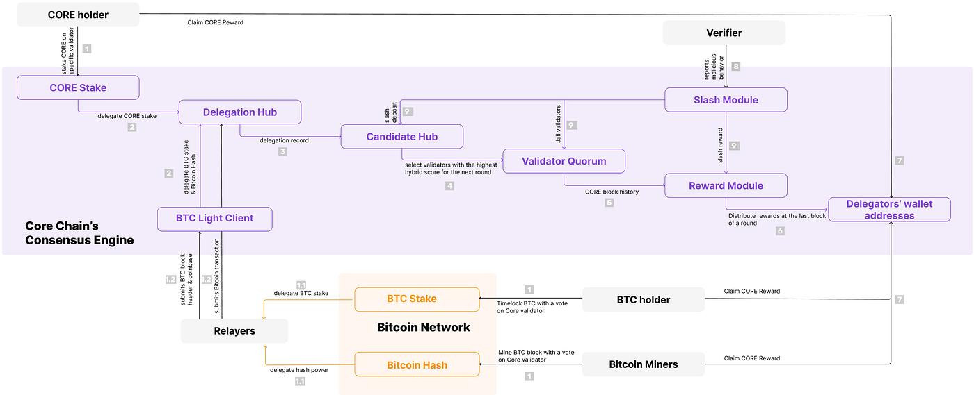 BTC Staking Part One: Toward Understanding Core Network | by HashKey Cloud  | Medium