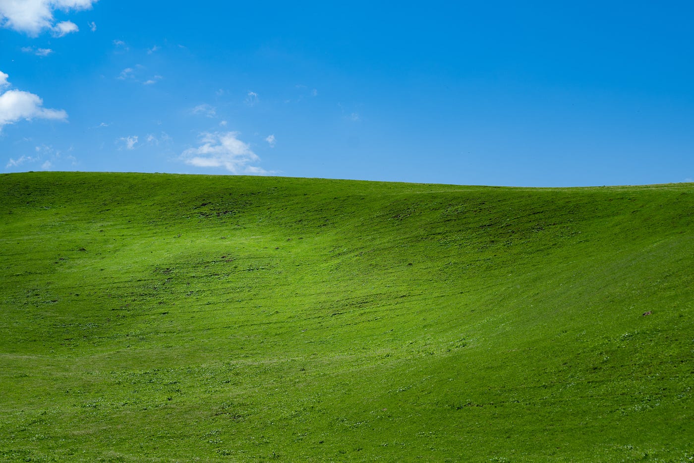 Why Is Windows XP So Fondly Remembered?, by Mike Grindle, ILLUMINATION