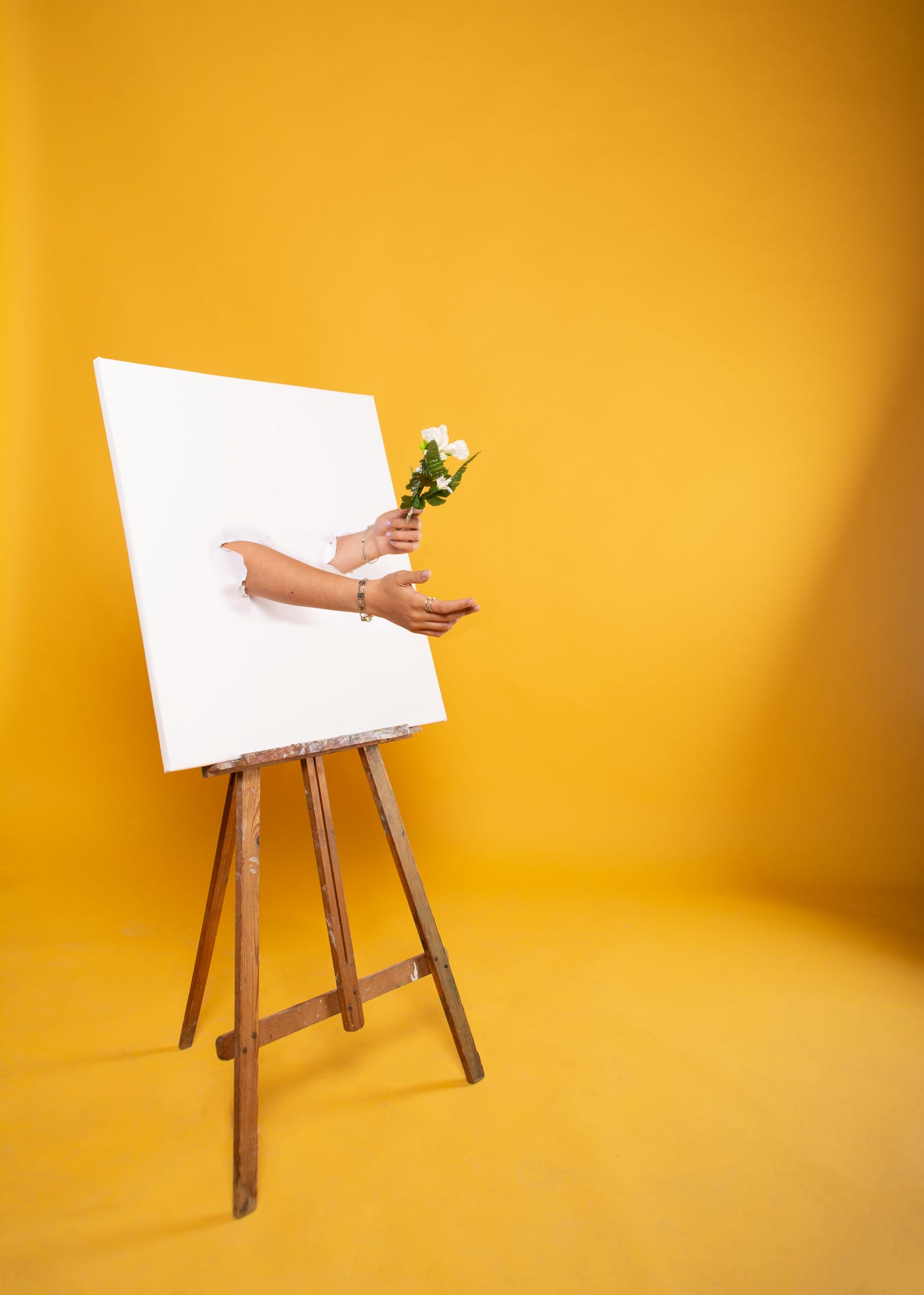 Transforming Your Blank Canvas. It's calling out to you. What will you… |  by Marjorie Dadhich | Medium