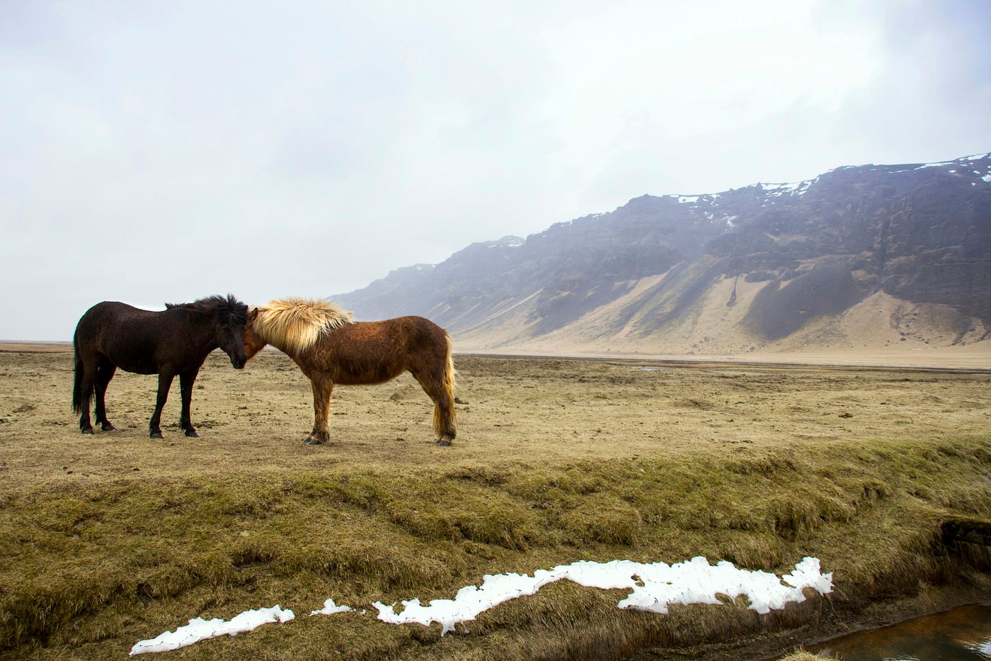 Photo by Claire Nolan on Unsplash