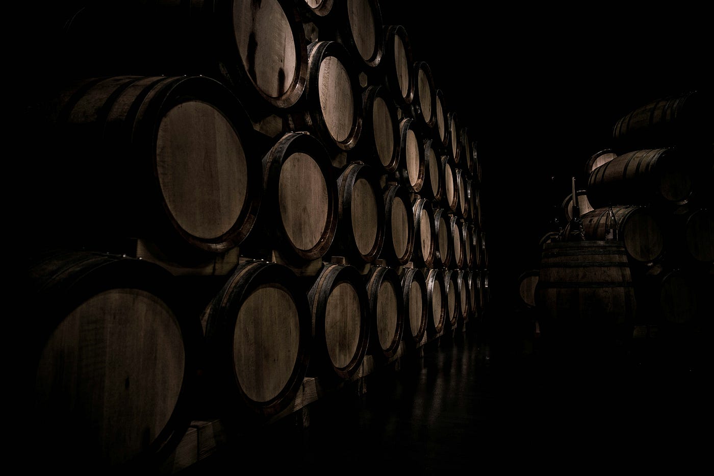 Photo by Daniel Vogel on Unsplash