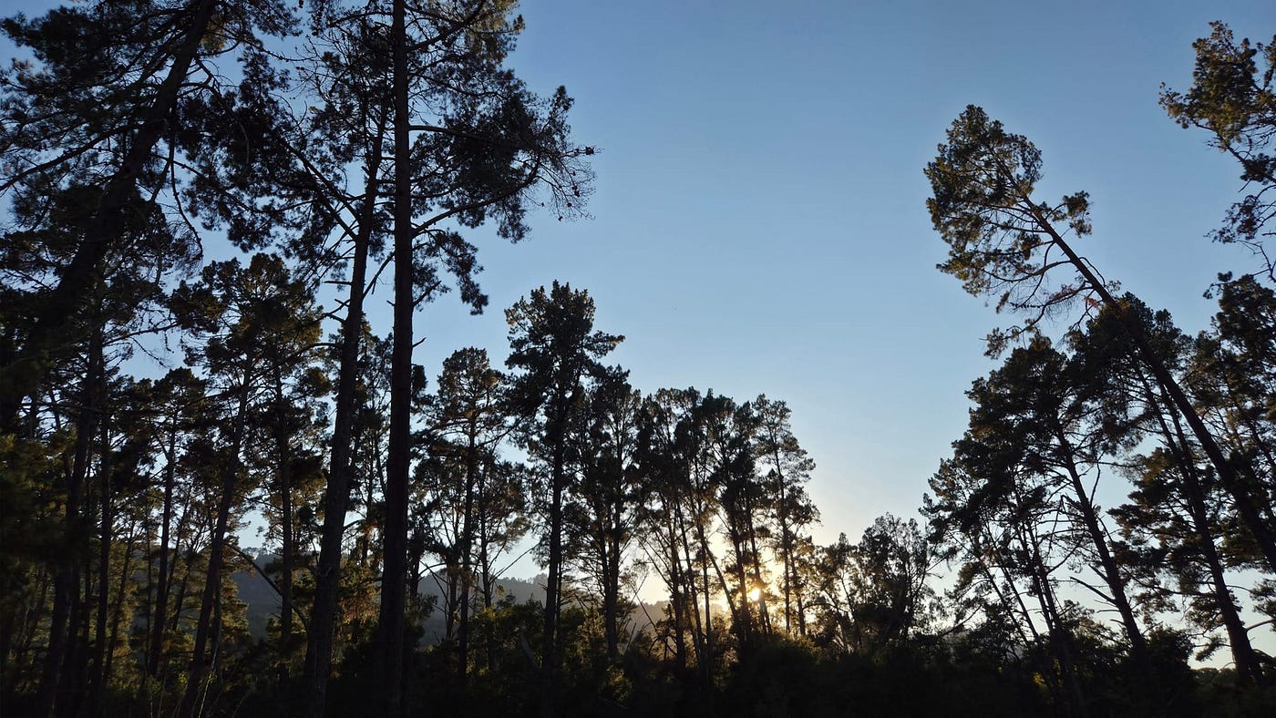 The Body Tells the Truth First Thing in the Morning: Hiking with RA and Lupus