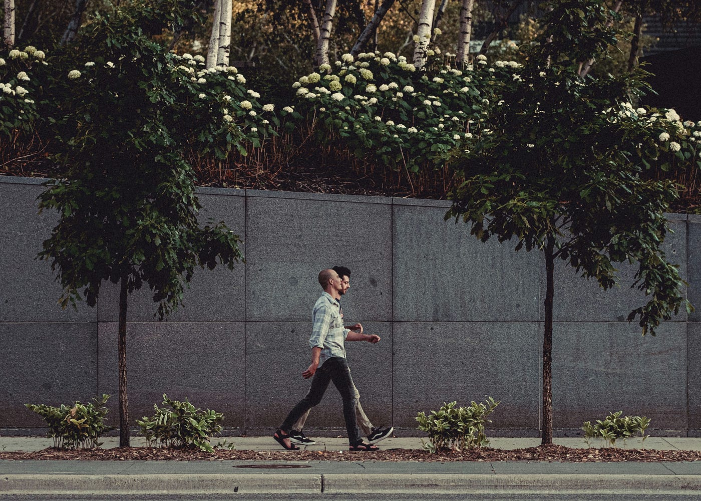 Photo by Jackson Simmer on Unsplash
