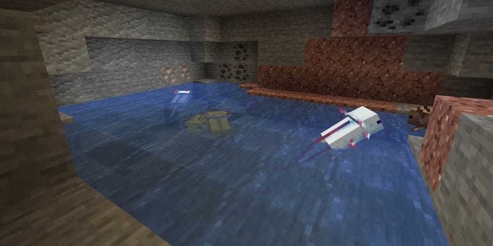 How to get blue axolotls in Minecraft 1.17 version