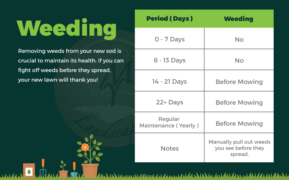 How to Mow New Sod Grass: Expert Tips for a Perfect Lawn