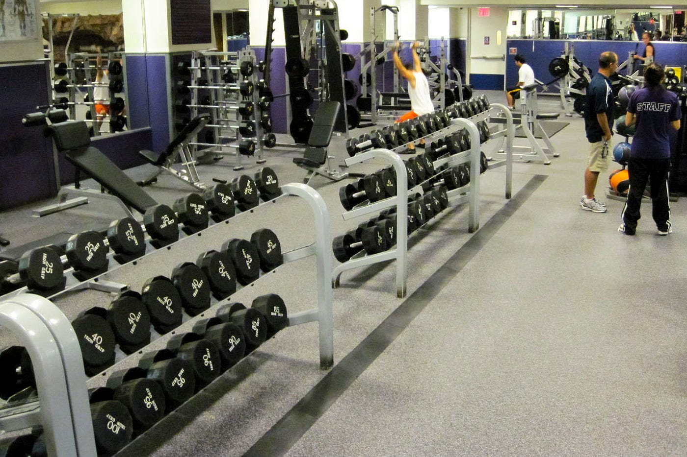 Rookie NYU Gym-Goers Shouldn't Be Afraid Of The Weight Room | by NYU Local  | NYU Local