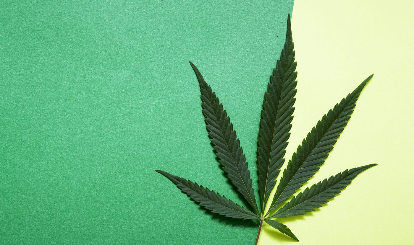 Cannabis Receiverships: Litigation, Missing Taxes, and Incompetence Paired With Large Professional…
