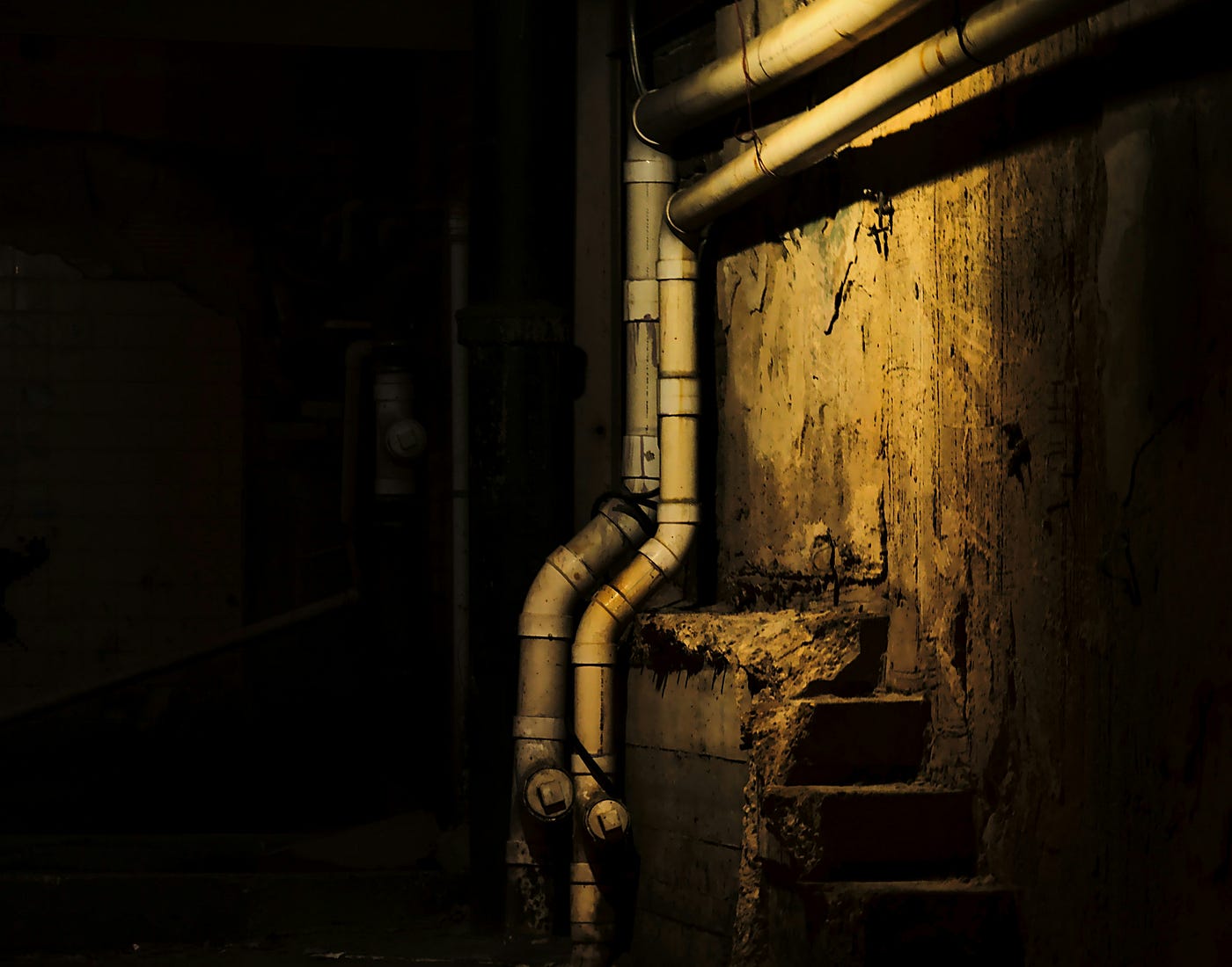 Photo by Random Thinking on Unsplash