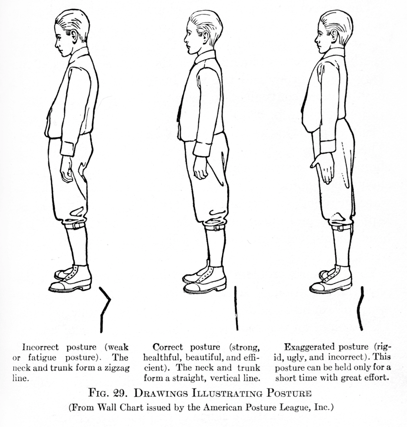 Upright and uptight: the invention of posture, by Tom Jesson