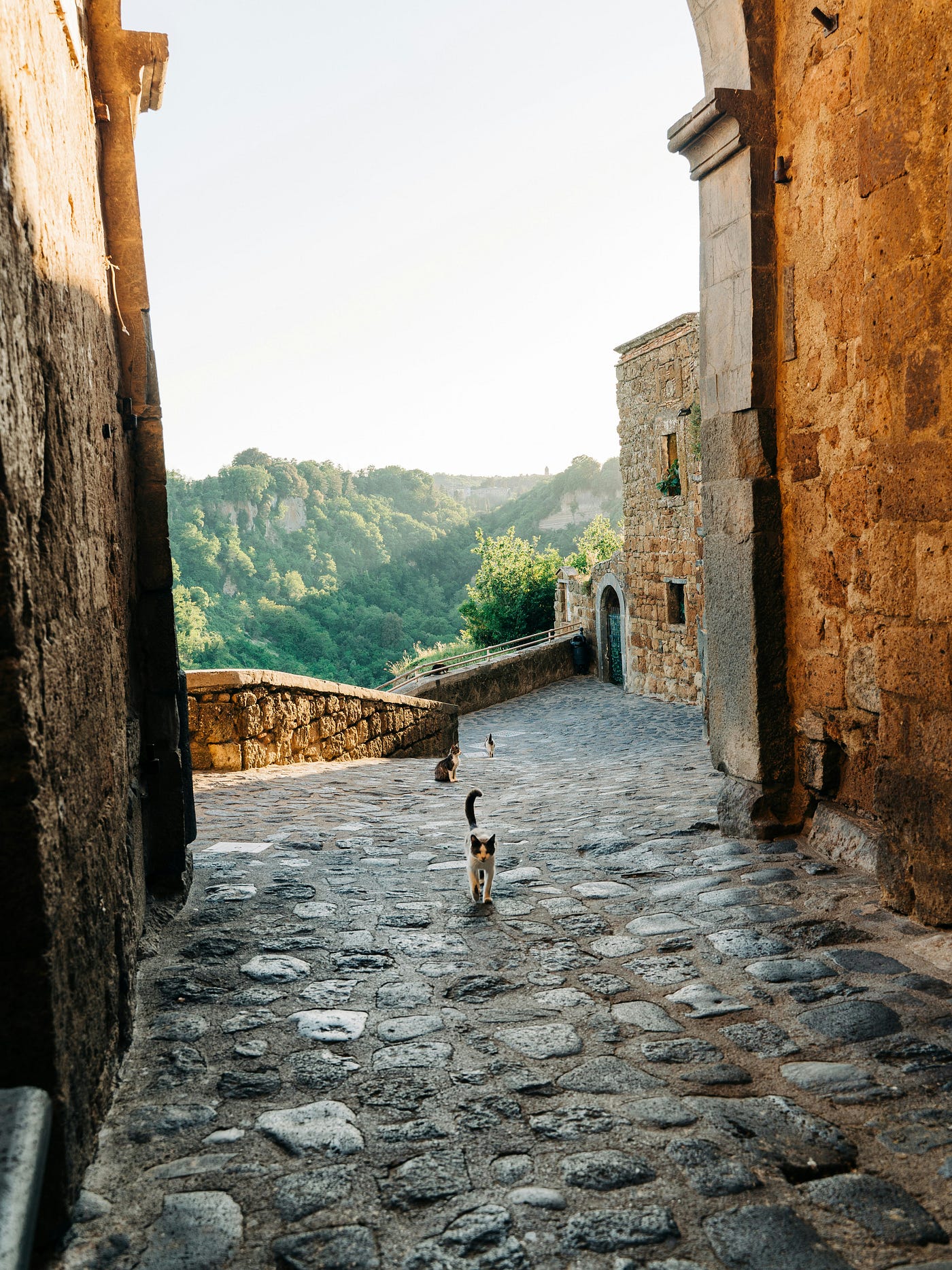 Photo by Gabriella Clare Marino on Unsplash