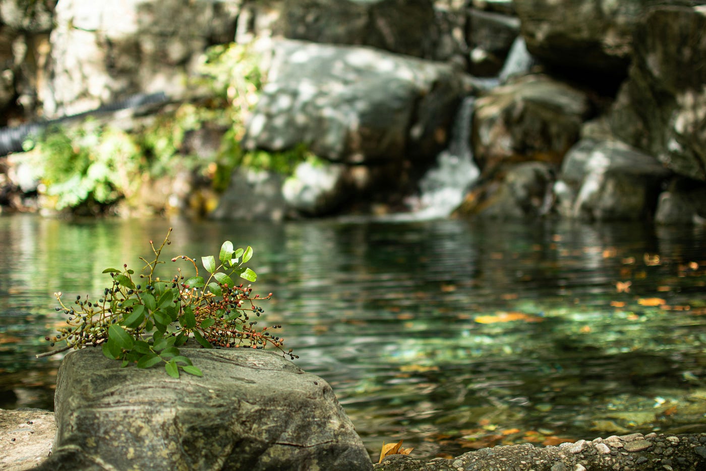 Photo by Haktan Gencal on Unsplash