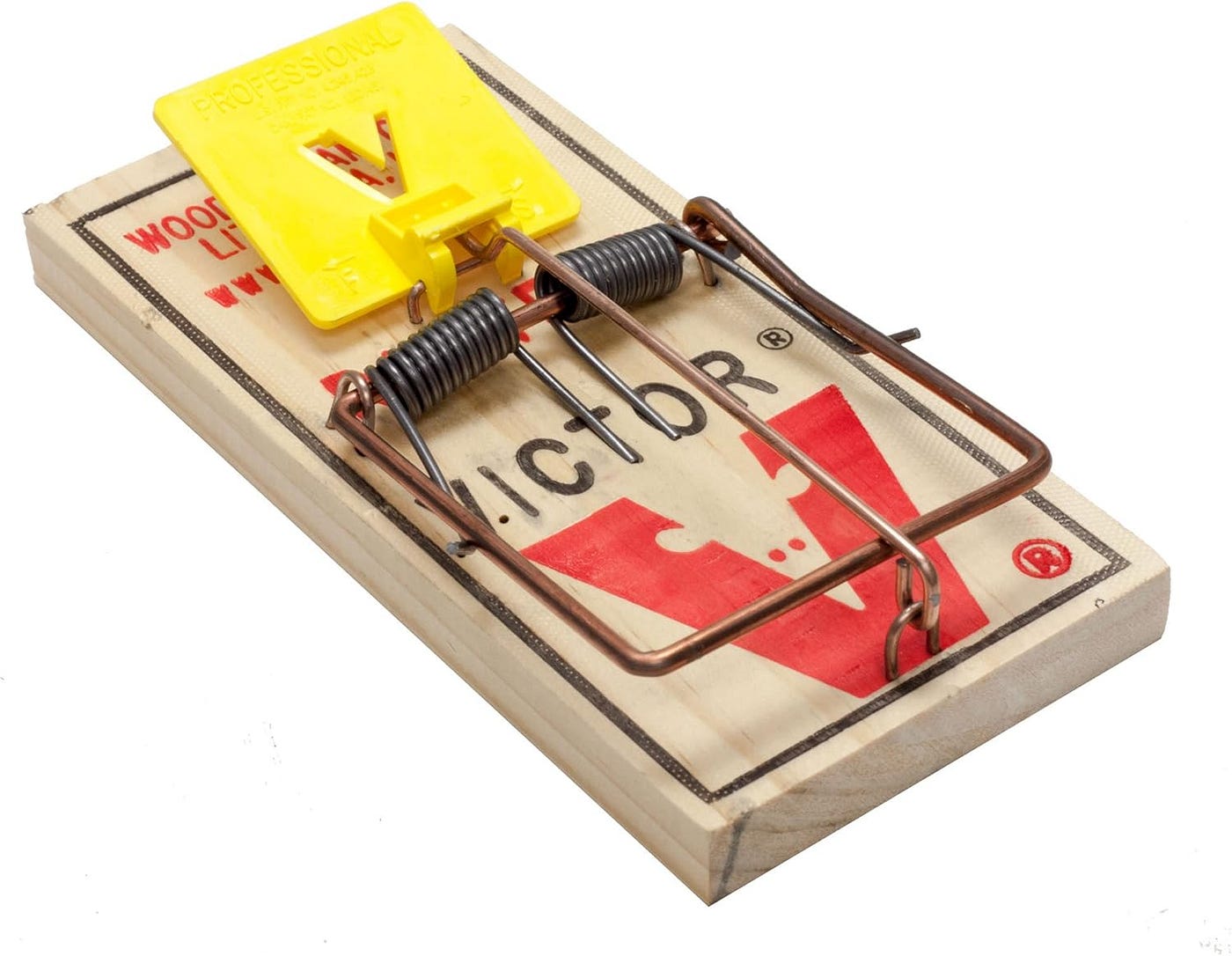 For God’s sake check your rat traps or a billion flies will kill you