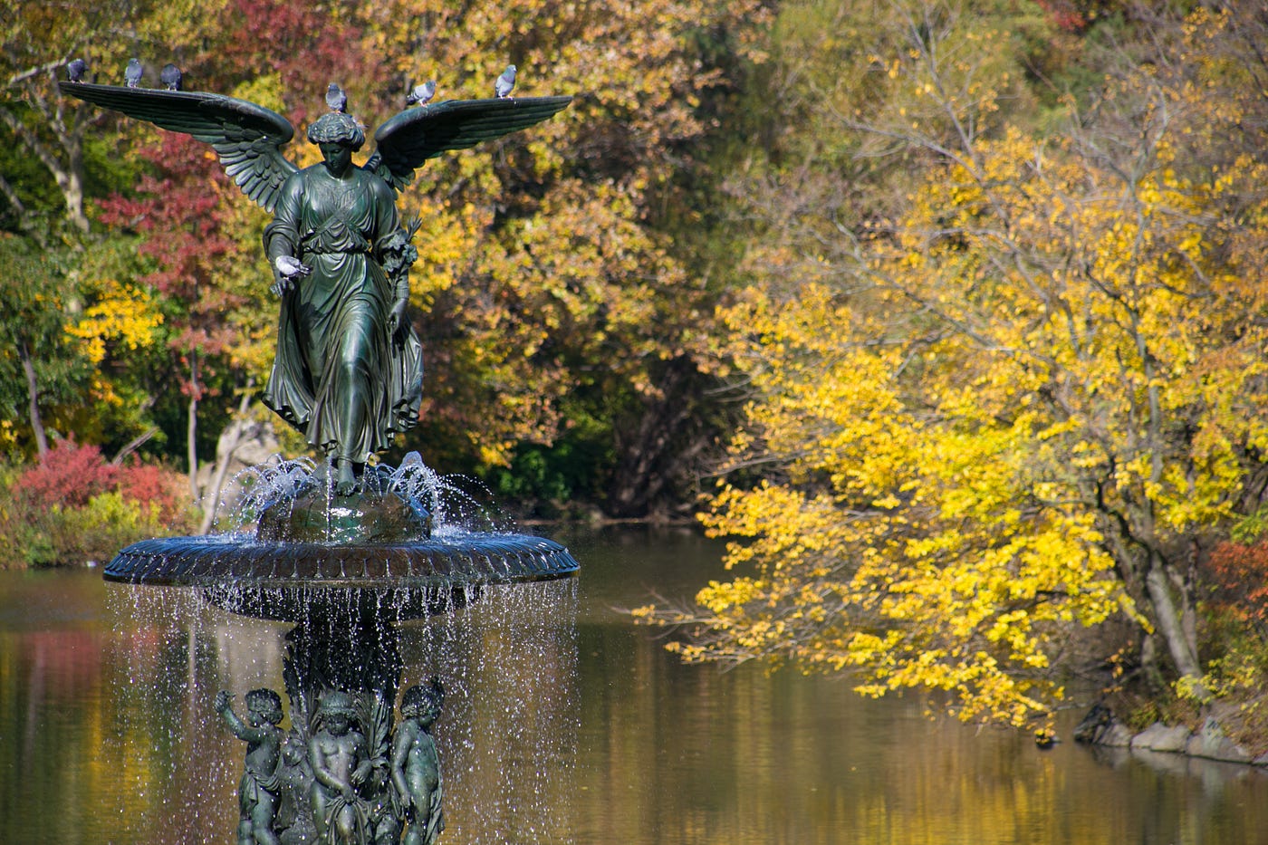 Make a Wish at the Bethesda Fountain