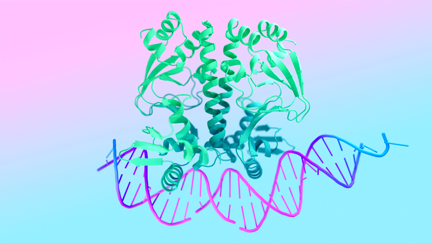Watching Molecules Move: Why Molecular Dynamics is the Microscope of the Digital Age