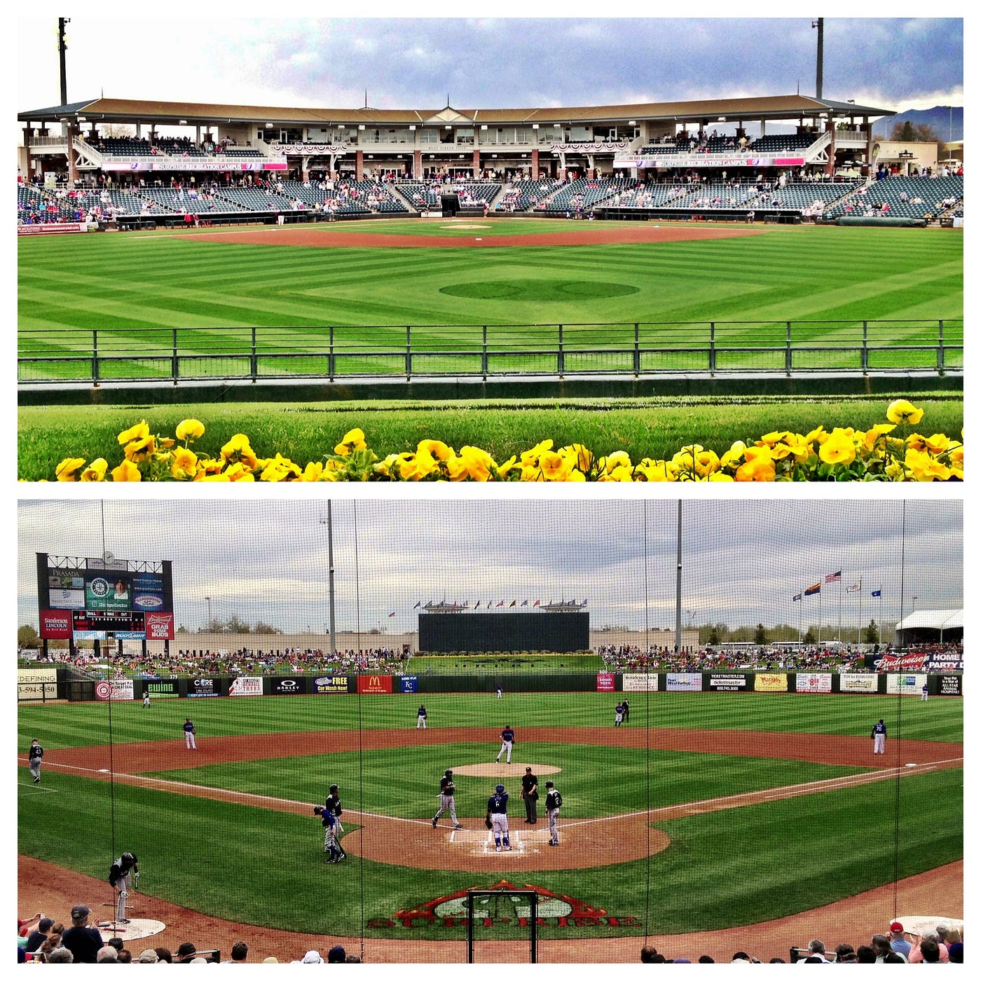 Major League Baseball announces 2024 Spring Training schedule :: Surprise  Stadium