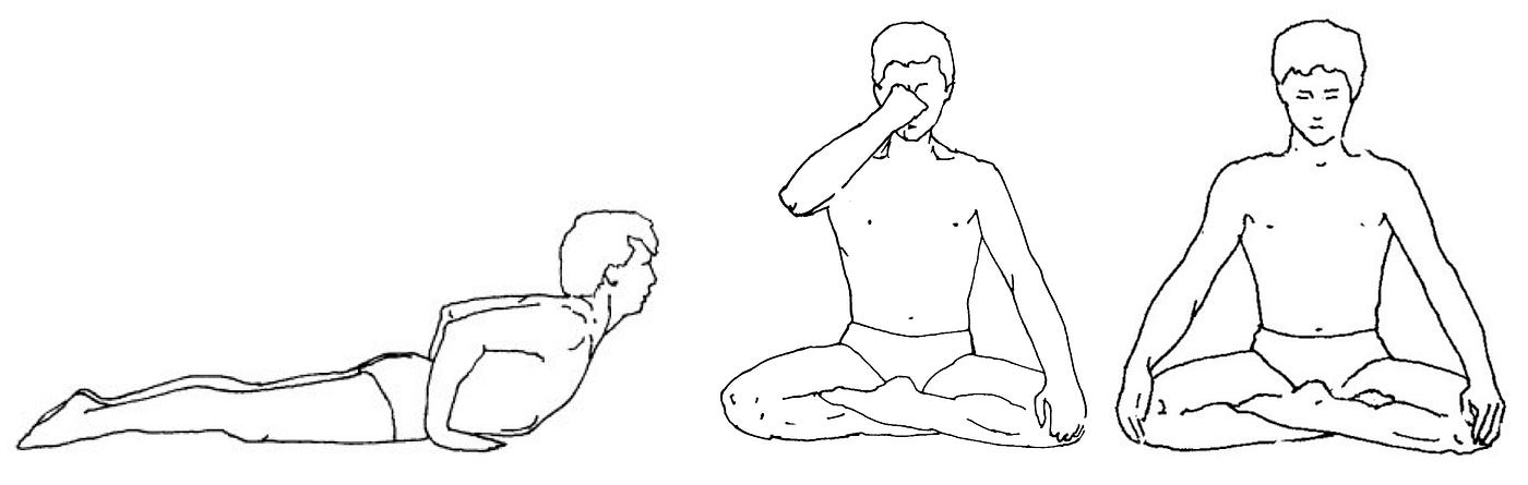 108 Yoga Practice Pointers — 44 — Āsana is the interface between the body…